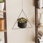 Aberto Design Harpusta - Black
